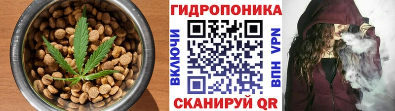 купить наркоту  Мирный  Canna-Cookies марихуана 
