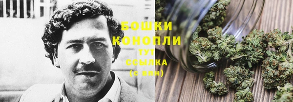 молекула духа Навашино